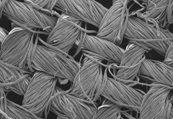 Khả năng chặn chất bẩn của màng lọc thô